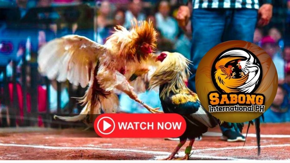 free 100 new register